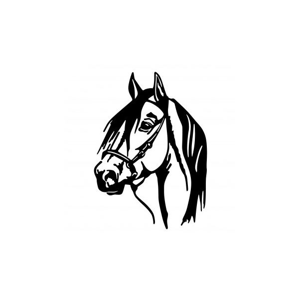 WALLXPERT Zidna dekoracija Horse Head - 174765