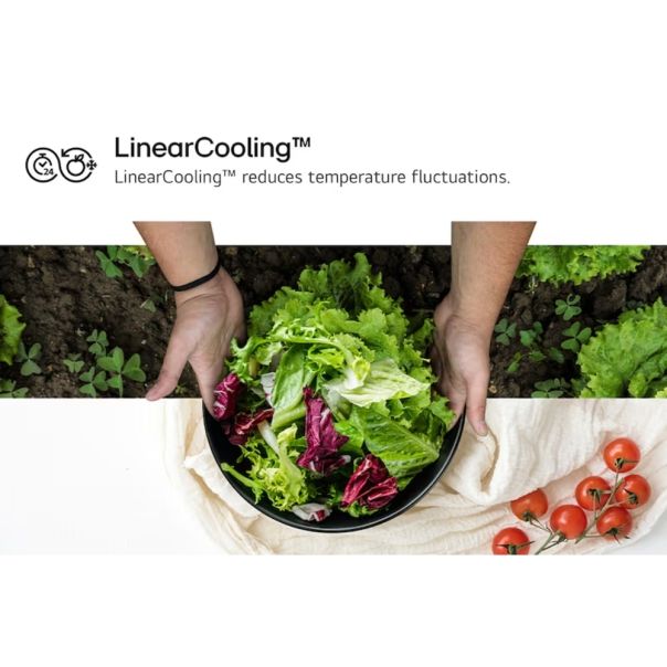 LG Side by side frižider GSLC40EPPE - EP2812143