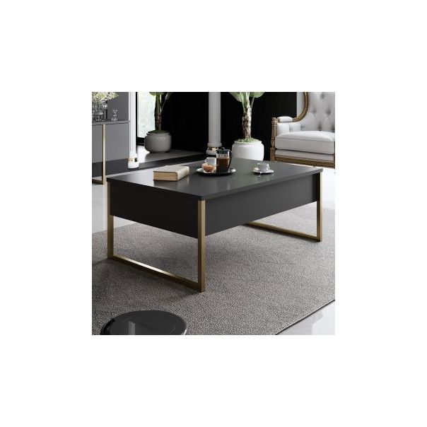 HANAH HOME Sto za dnevnu sobu Luxe Anthracite Gold 1 - 182045