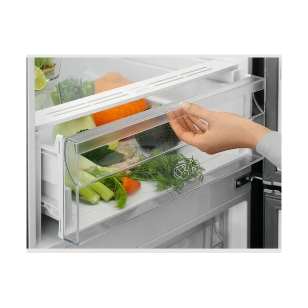 ELECTROLUX Kombinovani frižider LNT5ME36U1 - 19025-1-1