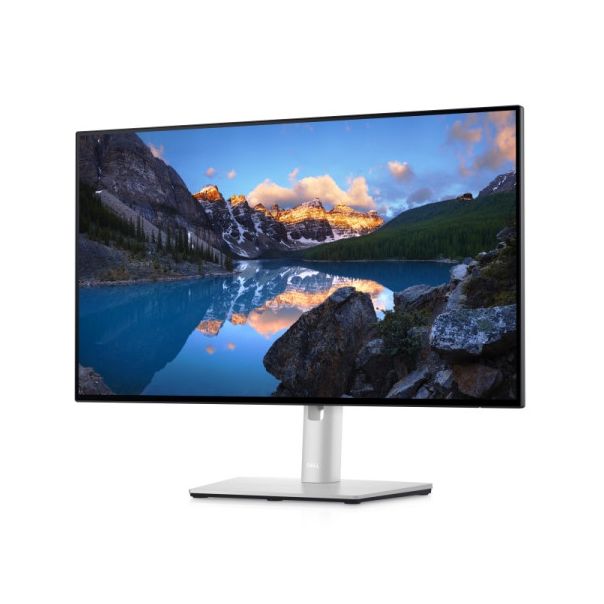 DELL Monitor 23.8