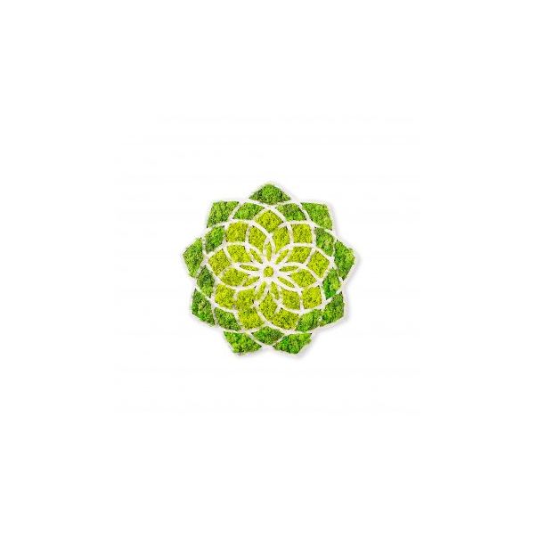 WALLXPERT Zidna dekoracija Daisy - 195921