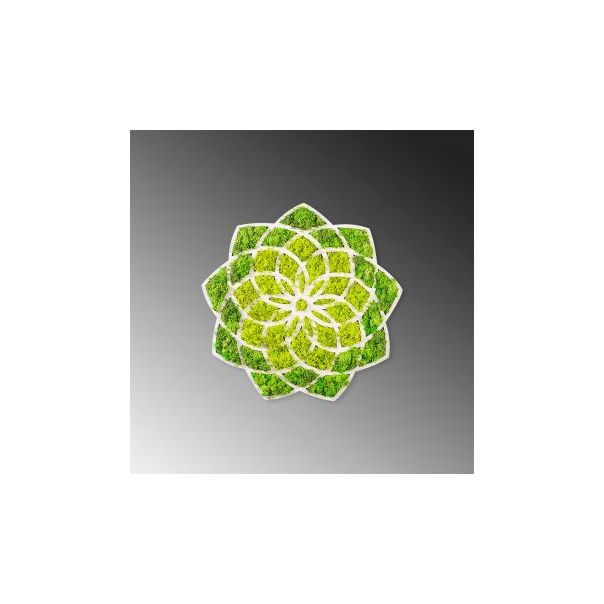 WALLXPERT Zidna dekoracija Daisy - 195921