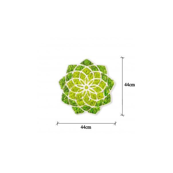 WALLXPERT Zidna dekoracija Daisy - 195921