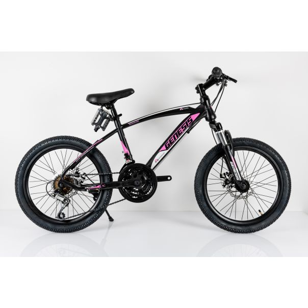 WINNER BIKE BIC.20