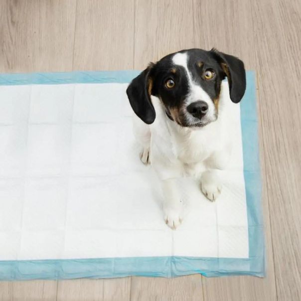 Purlov  pelena za pse 60x40cm 100kom - EP3167798