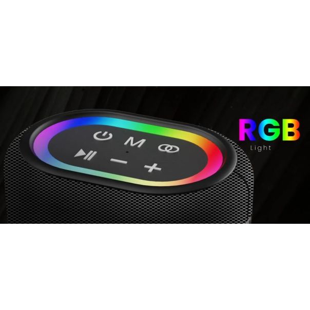 HIFUTURE Bežični Bluetooth zvučnik VOCALIST 100, crna - 38490