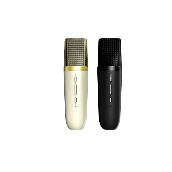 HIFUTURE Bežični Bluetooth zvučnik VOCALIST 100, crna - 38490