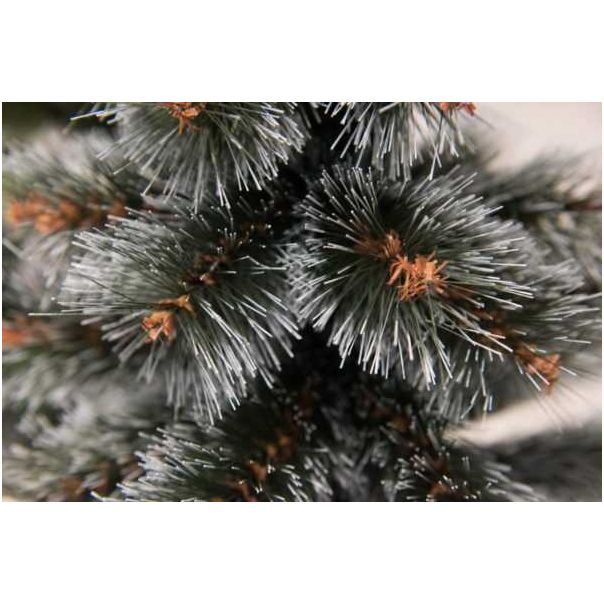 Novogodišnja jelka Bor sa belim vrhovima 150 cm - 20936