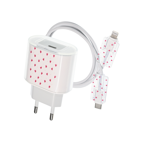 Zaštita za punjač tip 4 - EP2853281