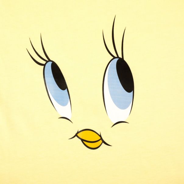 WARNER BROS Pidžama TW - 2373-TW