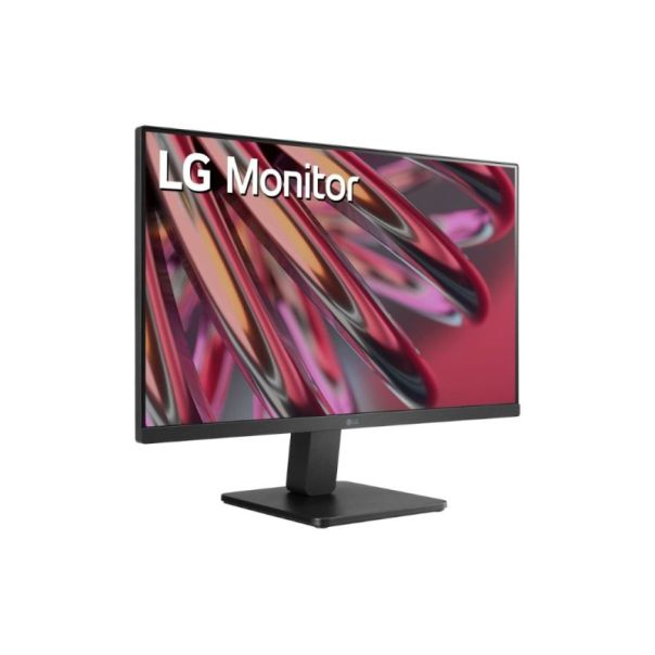 LG Monitor 24