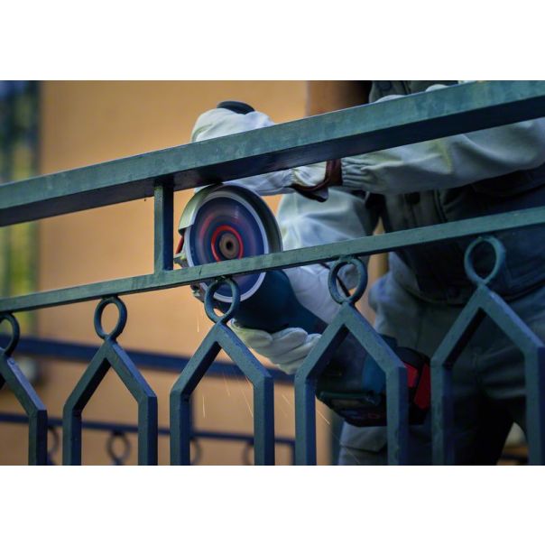 BOSCH EXPERT Dijamantska ploča za sečenje metala Best for Metal 125 x 22,23 mm - 2608900533