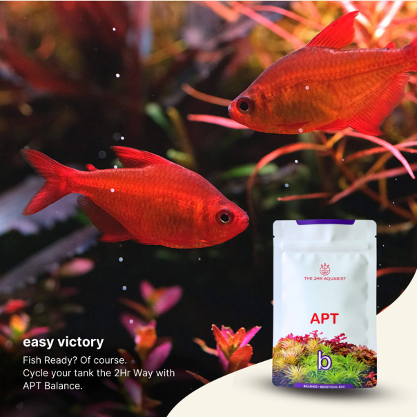Nanobit 2Hr Aquarist APT Balance - EP3105675
