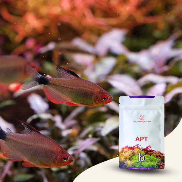 Nanobit 2Hr Aquarist APT Balance - EP3105675