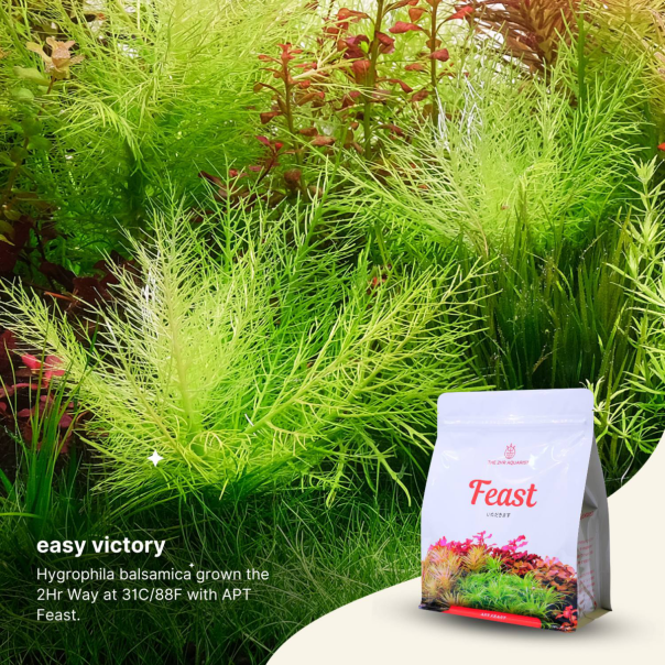 Nanobit 2Hr Aquarist APT Feast - 5L - EP3105687