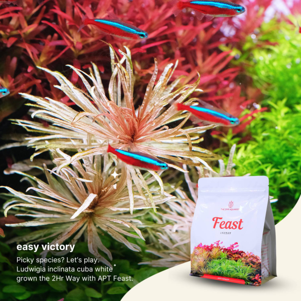 Nanobit 2Hr Aquarist APT Feast - 5L - EP3105687