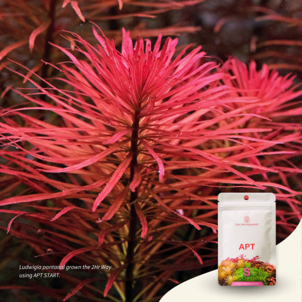 Nanobit 2Hr Aquarist APT Start - EP3105708