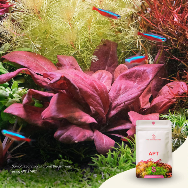 Nanobit 2Hr Aquarist APT Start - EP3105708