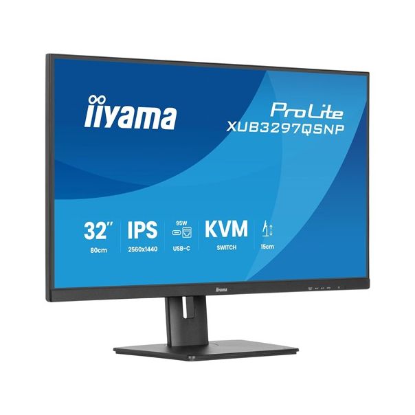 IIYAMA Monitor 31.5