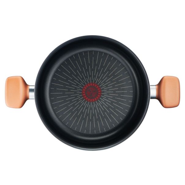 TEFAL Šerpa sa poklopcem 24cm B2554602 EXPRESS - 20816-1-1