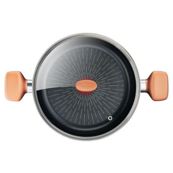 TEFAL Šerpa sa poklopcem 24cm B2554602 EXPRESS - 20816-1-1