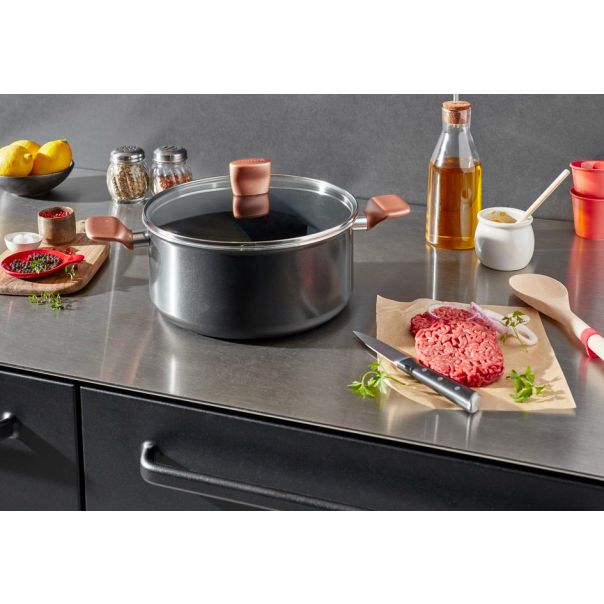 TEFAL Šerpa sa poklopcem 24cm B2554602 EXPRESS - 20816-1-1