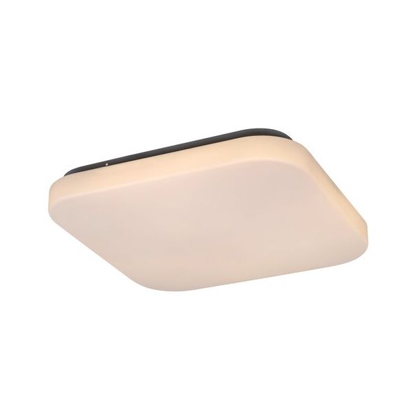 Rabalux Plafonjera Rob LED 20W bela (3340) - 3340