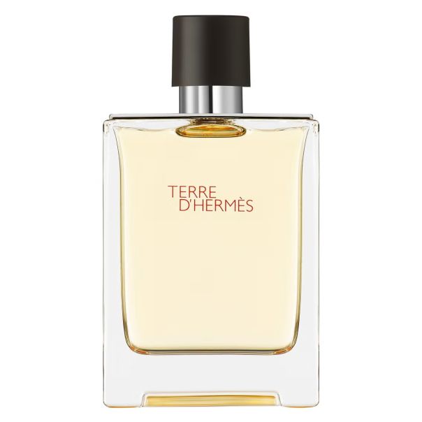 Hermès Terre d'Hermès Eau de Toilette 100ml - EP2892586