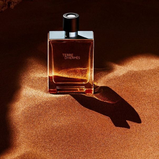 Hermès Terre d'Hermès Eau de Toilette 100ml - EP2892586