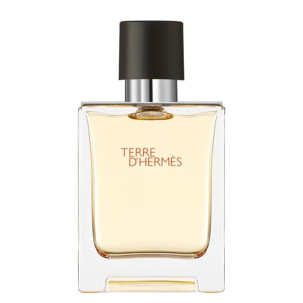 Hermès Terre d'Hermès Eau de Toilette 50ml - EP2892589