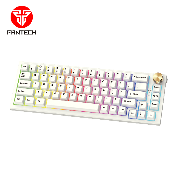FANTECH Gejmerska mehanička tastatura MK858 MAXFIT67 SPACE EDITION (BELI SWITCH) - FT99936