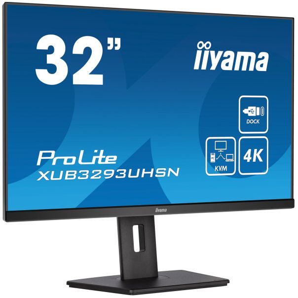 IIYAMA Monitor 31.5