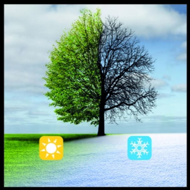 EINHELL Univerzalni rastresač GE-US 18 Li-Solo - 3415410