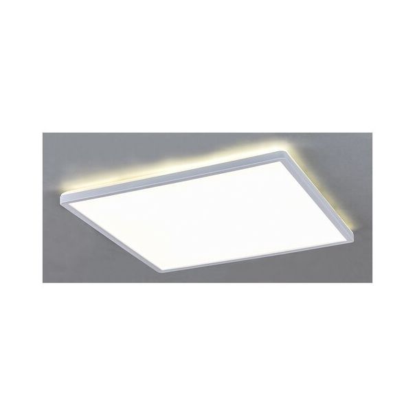 Rabalux Ugradna i nadgradna rasveta Pavel LED 18W bela (3429) - 3429