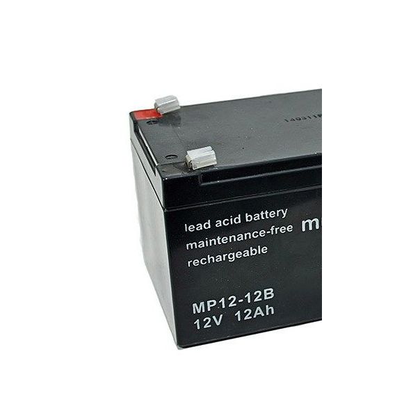 GEMBIRD BAT-12V12AH * Punjiva baterija 12 V 12AH za UPS - 9864