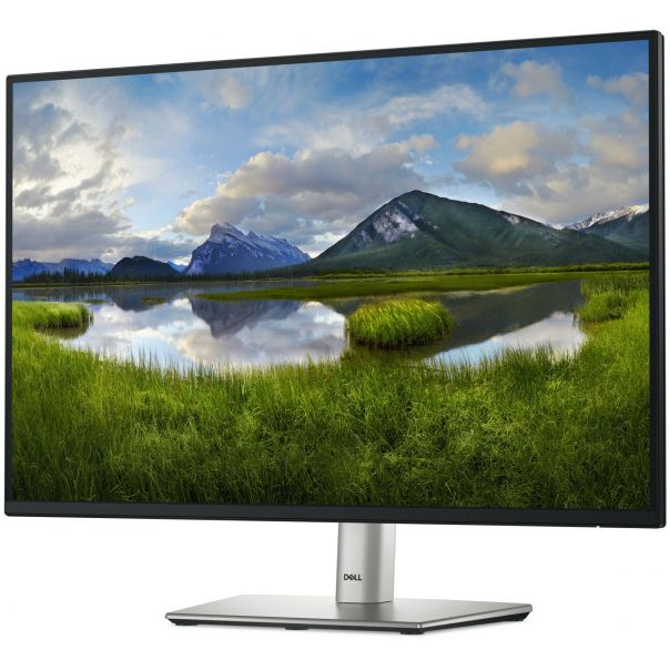 DELL Monitor 24