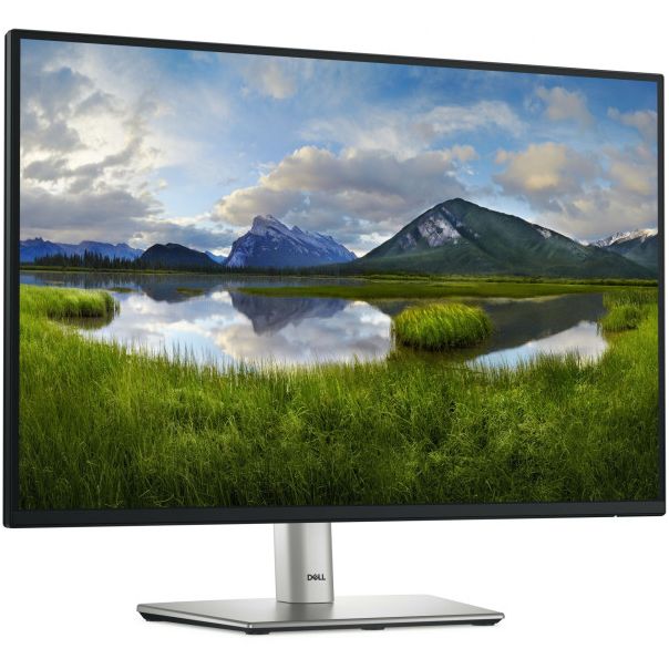 DELL Monitor 24