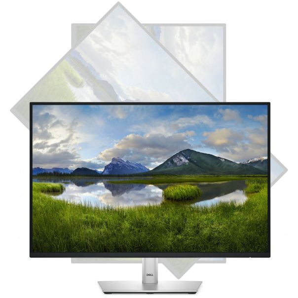 DELL Monitor 24