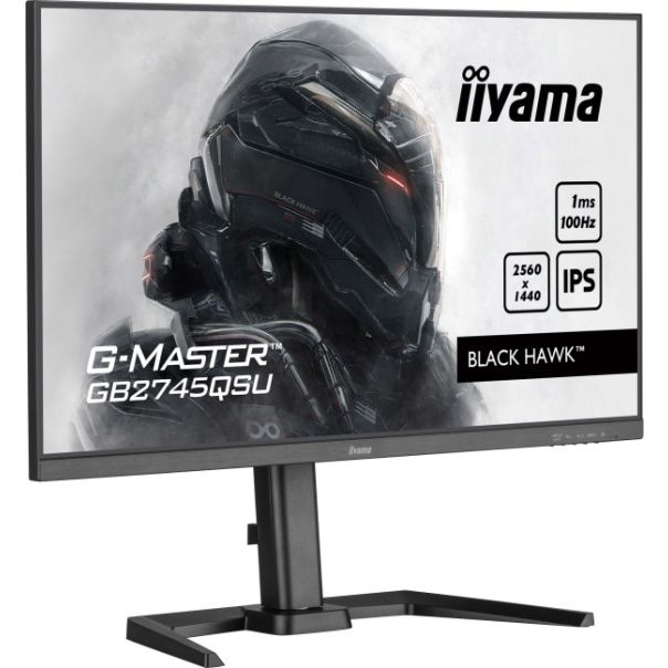 IIYAMA Monitor 27