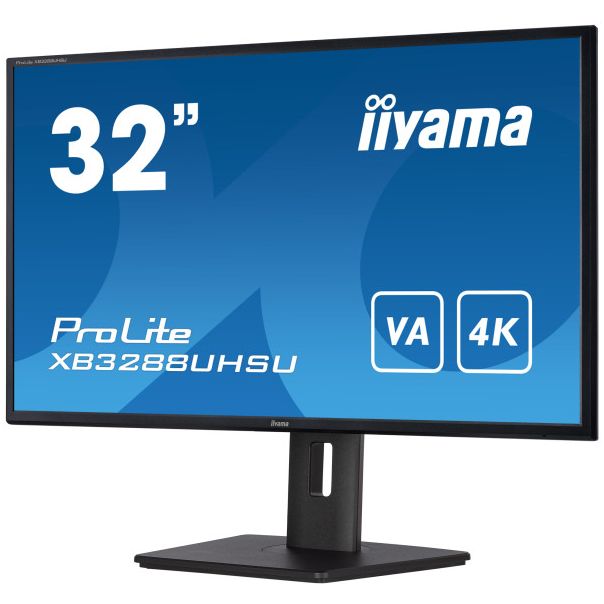 IIYAMA Monitor 31.5