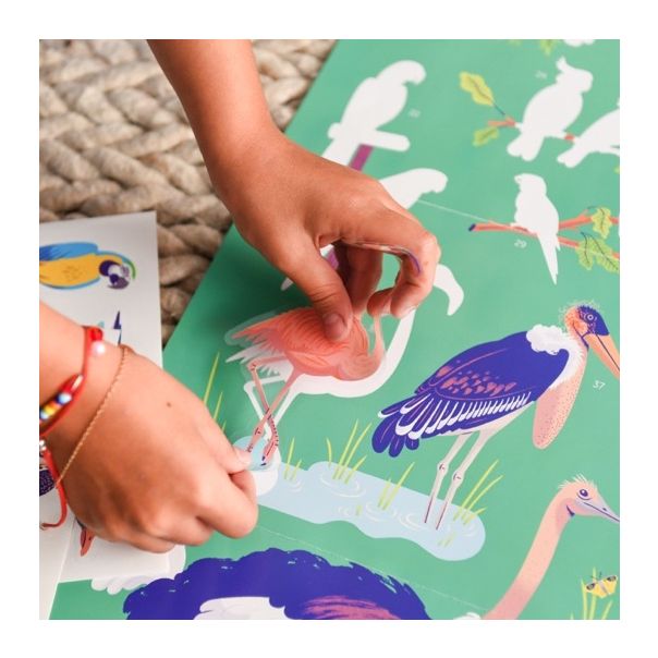 POPPIK Edukativni poster s nalepnicama Otkrića: Ptice - DIS017