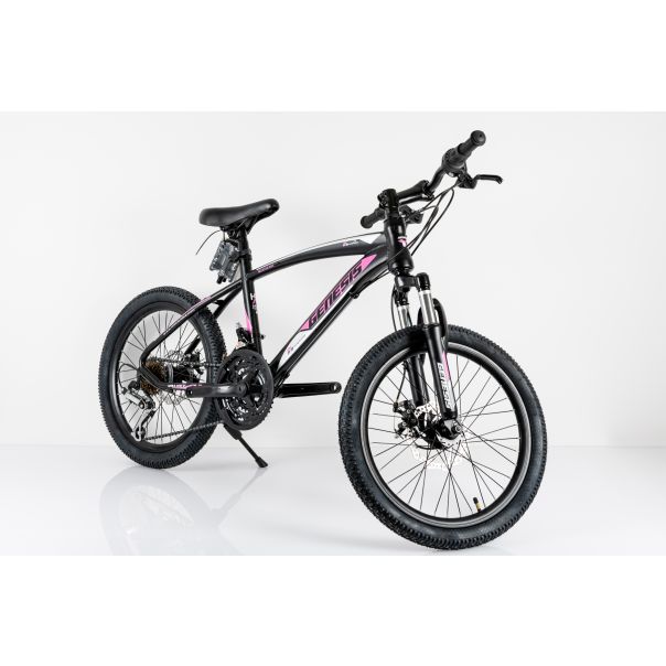 WINNER BIKE BIC.20