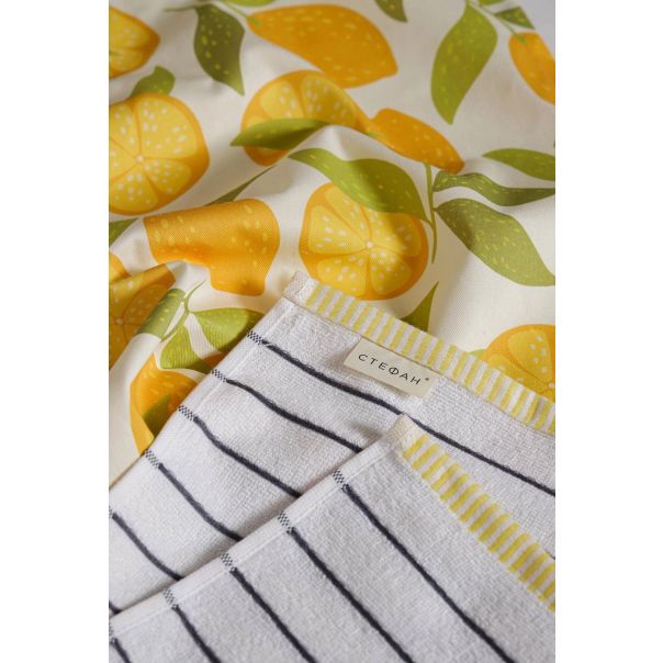 STEFAN Set kuhinjska krpa 40x60cm i peškir 40x60cm Limun - EP2952181