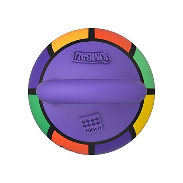 GIGWI Igračka za pse lopta sa ruckom - G6343-1