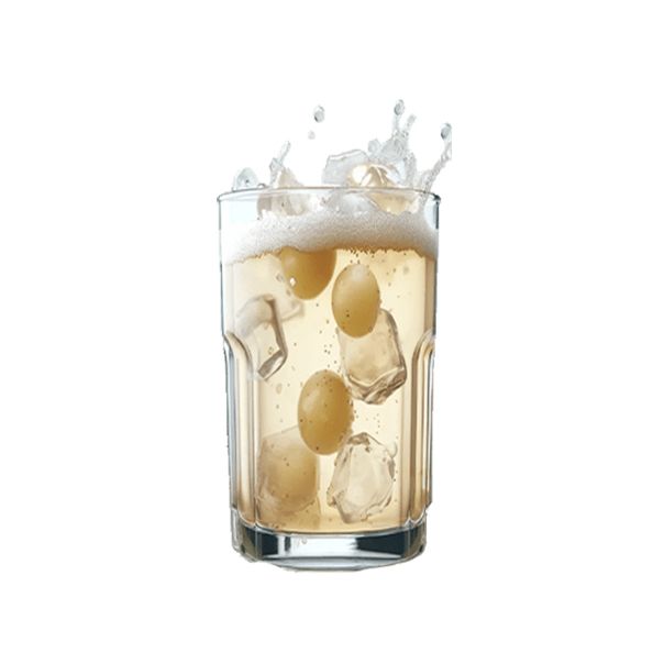 NATURE'S Well Biome Kombuha Muskat grožđe, 15 kesica, 75gr - MedSan599