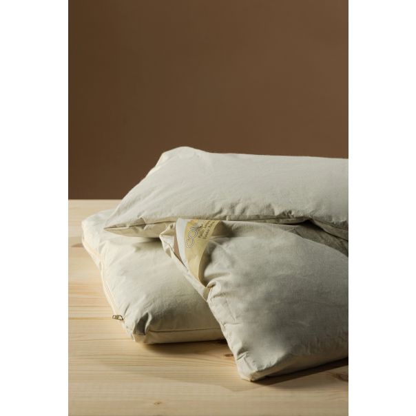 STEFAN Jastuk Comodo H 50x60cm - 446