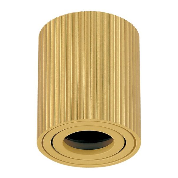 FORMA Plafonska lampa 1xGU10 AFS118-1C SG - 007372