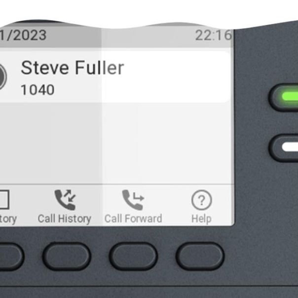 SNOM Žični fiksni telefon D150, crna - 4652