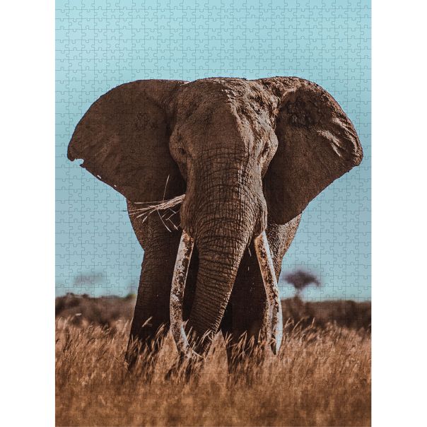 AMBASADOR Puzzle Slon Photographers Collection - 1.000 delova - 485016